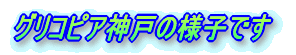 ORsA_˂̗lqł